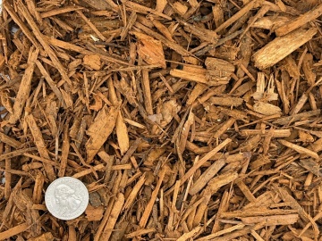 Gold Dyed wood chips
